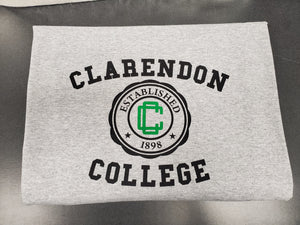 CC Stadium Blanket